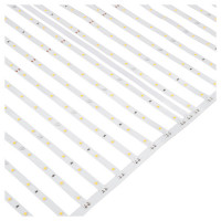 Светодиодная лента RT-ONIX-A640-410mm 24V Warm3000 (43.6 W/m, IP20, 2835, 3m) (Arlight, сеть параллельная), 031354(2)