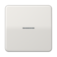 Клавиша с окошком и символом "освещение" для выключателей с подсветкой; "золотой блеск", CD590KO5LG