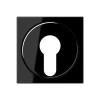 Крышка для выключателя с замком; черный, A528PLSW Крышка для выключателя с замком; черный, A528PLSW