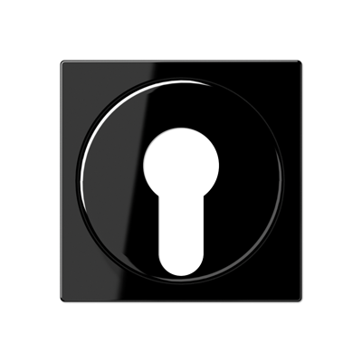 Крышка для выключателя с замком; черный, A528PLSW