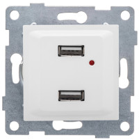 GUSI Ugra МЕХАНИЗМ розетки USB, двойной, скрытая установка. Цвет белый., С11USB2-001