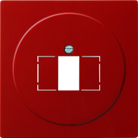 027643 Gira Накладка телефонной розетки TAE+Стерео+USB