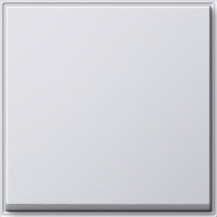 029666 Gira Клавиша одинарная