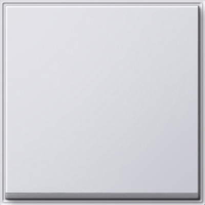 029666 Gira Клавиша одинарная