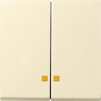 063101 Gira Накладка двухклавишная с контрольными окнами