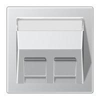 накладка для модульного разъема, AL569-30BFPL-L