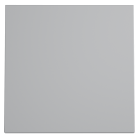 Клавиша для выключателя/переключателя одноклавишного, S70 (серый), VLS000116