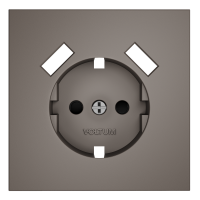 Накладка для розетки с заземлением и защитными шторками, с USB A+A, S70 (капучино), VLS000914