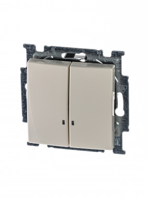 ABB BJB Basic 55 Беж Выключатель 2-клавишный с подсветкой