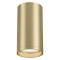 Maytoni Потолочный светильник FOCUS S GU10 1x10Вт, C052CL-01MG