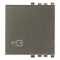 Vimar Клавиша на 2 модуля с симв "ключ", Metal, 19022.P.M Vimar Клавиша на 2 модуля с симв "ключ", Metal, 19022.P.M