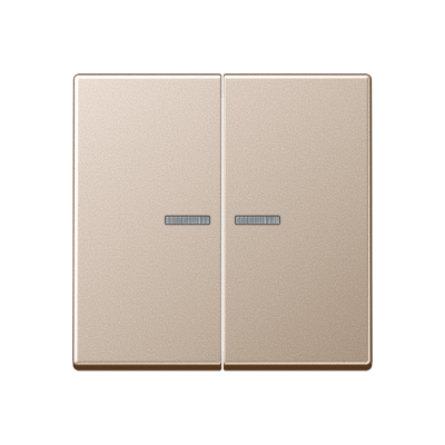 Двойная клавиша с окошками для балансирных механизмов выключателей (кнопок), в комплекте с AS90-5HP (крепежный элемент), возможно IP44; дюропласт; шампань; A500, A595KO5CH