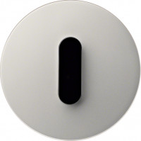 Berker Выключатель 1-клавишный, нержавеющая сталь, серия R.Classic