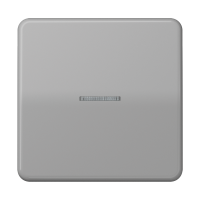 Клавиша с окошком для выключателя и кнопки с подсветкой; серая, CD590KO5GR