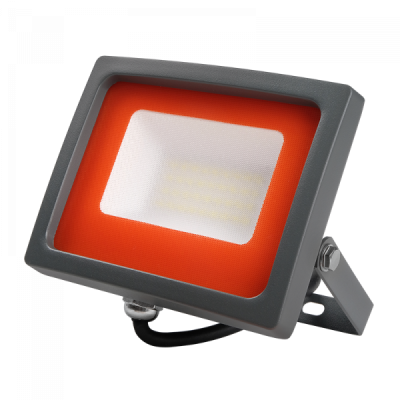 Jazzway Прожектор PFL-SC-30W 6500K IP65 (матовое стекло) , 5001404