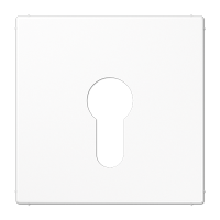 Крышка к выключателю для замочного механизма; белая, LS925WW Крышка к выключателю для замочного механизма; белая, LS925WW