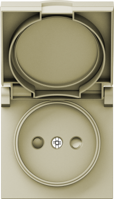 Donel A07 шампань накладка для розетки без заземления, с крышкой, 16A 250 В~, серия DB, DE43451