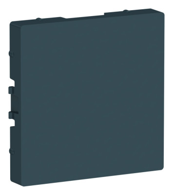 ATN000809 - ATLASDESIGN ЗАГЛУШКА без суппорта для многопостовых рамок, ИЗУМРУД, Systeme Electric