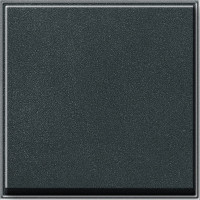 029667 Gira Клавиша одинарная