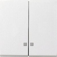 063103 Gira Накладка двухклавишная с контрольными окнами