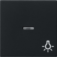 0674005 Gira Клавиша с пиктограммой "Свет" и контрольным окном