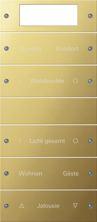 2145608 Gira Комплект клавиш, 5 шт. Plus ГРАВИРОВКА