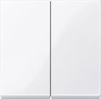 SM Клавиша 2-ная, активн. бел.