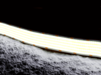 Светодиодная лента холодная белая 24В IP20 40Вт/м 1600 LED/м SWG-COB1600-24-40-CW