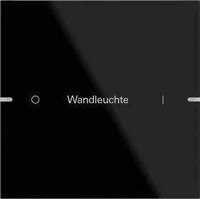 503105 Gira Клавиша одинарная  для сенс.  выкл.Gira 4 KNX, ГРАВИРОВКА