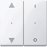 SM,КЛ.ДЛЯ МОД 2КН.ВЫК, ВВ/ВН,1/0, АК.БЕЛ