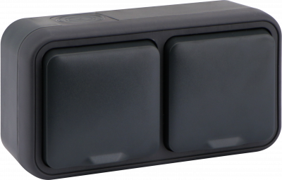 Donel W55 Розетка 2-я с защ.крышк, 2К+З. , накладная, антрацит, IP55, серия (тип) DIP55 , DIP28828