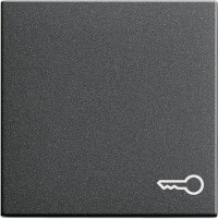 028728 Gira Клавиша с пиктограммой "ключ"