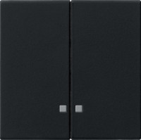 0631005 Gira Накладка двухклавишная с контрольными окнами