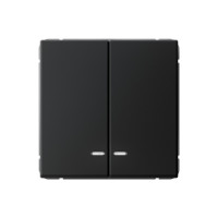 GAL001053 - ARTGALLERY 2-клавишный ВЫКЛЮЧАТЕЛЬ с подсветкой, сх.5а, 10АХ, механизм, КАРБОН, Systeme Electric