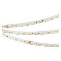 Светодиодная лента RT 6-5000 24V White-MIX 2x (5060, 60 LED/m, LUX) (Arlight, 14.4 Вт/м, IP20), 025213