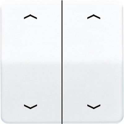 Клавиши для сдвоенной кнопки BCU; белые, CD595MPWW