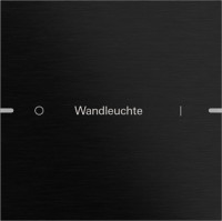 5031126 Gira Клавиша одинарная для сенс. выкл.Gira 4 KNX, ГРАВИРОВКА 5031126 Gira Клавиша одинарная для сенс. выкл.Gira 4 KNX, ГРАВИРОВКА