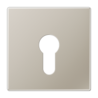 Крышка к выключателю для замочного механизма; благородная сталь, ES2925 Крышка к выключателю для замочного механизма; благородная сталь, ES2925