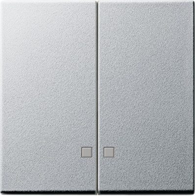 063126 Gira Накладка двухклавишная с контрольными окнами