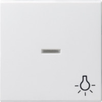 067427 Gira Клавиша с пиктограммой "Свет" и контрольным окном