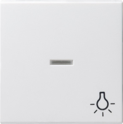 067427 Gira Клавиша с пиктограммой "Свет" и контрольным окном