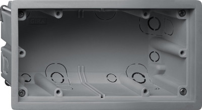 289700 Gira Установочный корпус Е2 2-местный