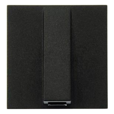 N2207 AN - Вывод кабельный, 2-модульный, серия Zenit, цвет антрацит - 2CLA220700N1801