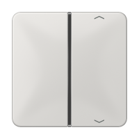 клавиша с символом для пульта KNX, светло-серая, для серии CD, CD401TSAPLG клавиша с символом для пульта KNX, светло-серая, для серии CD, CD401TSAPLG