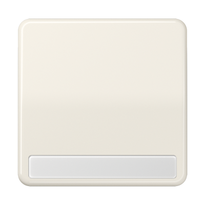 Клавиша для выключателя и кнопки, с полем для надписи; слоновая кость, CD590NA