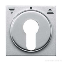 SD Накладка для выключателя, управл. ключом, алюм. SD Накладка для выключателя, управл. ключом, алюм.