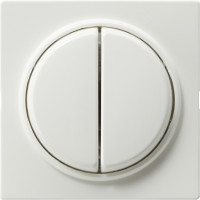 012840 Gira Кнопочный 2-клавю переключатель 2- местн