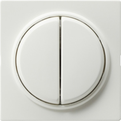 012840 Gira Кнопочный 2-клавю переключатель 2- местн