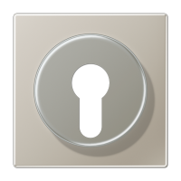 Крышка к выключателю для замочного механизма; благородная сталь, ES2928 Крышка к выключателю для замочного механизма; благородная сталь, ES2928