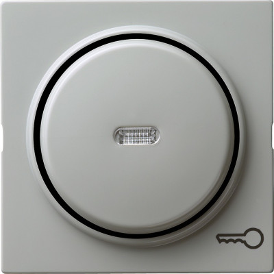 028742 Gira Клавиша с пиктограммой "ключ"